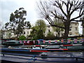 View of houses on Blomfield Road from the Grand Union Canal towpath #2