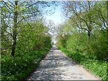 TL3571 : Overcote Lane, Needingworth by Marathon