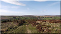 Bridleway descending towards Ainthorpe