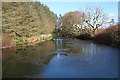 Pond at Tillyfar