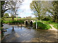 Fifehead Neville, footbridge