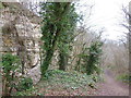 Former quarries in Coaley Wood