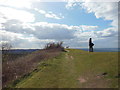 The Cotswold Way on Cam Long Down