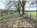 The Cotswold Way towards Dursley