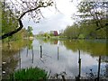 TQ2449 : Priory Pond, Reigate by Paul Gillett