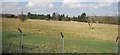 Grassland by the railway