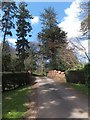 Bridge on carriage drive to Luscombe Park