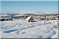 Old Croft House Above Migdale