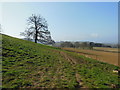 The Cotswold Way towards Park Lane