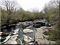 Rocky Rhymney River, Fleur de Lys