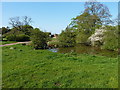 Small pond south of Alton Grange farm