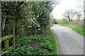 SU7189 : Lane at Upper Maidensgrove by Graham Horn