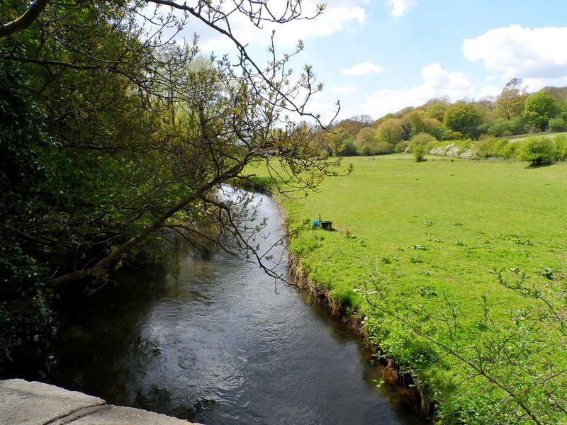 River Lee seen from the bridge on the... © Bikeboy cc-by-sa/2.0 ...