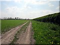 Footpath off Borras Road