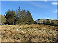 Cottage near Llanberis