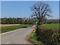 Road to Low Hedgeley Farm