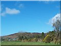 A whin field dyke on the Maphoner Road