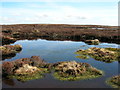 SD9699 : Pond, Long Brae, Brownsey Moor by Mick Garratt