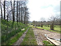 The Cotswold Way towards Elmtree Farm