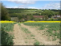 Footpath to Capstone Road, Hale