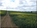 Footpath to North Dane Way