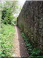 Path towards Asheldon Copse