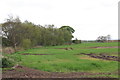 Emerging crops next to Fishings Lane