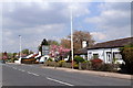 Cottages on the east side of Mill Lane, Churchtown