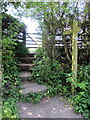 Footpath to Pound Lane