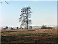 Farmland south of Hitchin