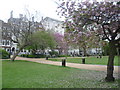 TQ3081 : Blossom in Lincoln's Inn Fields by Marathon