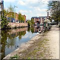 SJ9398 : Geese along the Ashton Canal by Gerald England