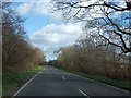 Low trees at Winkleigh Moor Cross