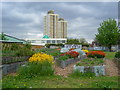 Abbey Gardens