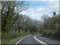 Woodland beside A386 (Narratons Road)