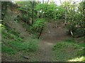 Disused Sand Pit, Washington Common