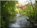 The River Tavy above Denham Bridge