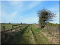 The Cotswold Way towards Beacon Lane