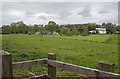 A field with a horse grazing and a glimpse of a pond