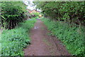 TL0336 : Footpath to Flitwick Road by Philip Jeffrey