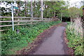 Greensand Ridge Walk off Backstreet