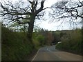 Hedgebanks by the A386 north of Fishleigh