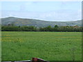 Farmland, Tarnock