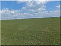 Big skies and bigger fields