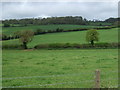 Farmland, Lye Cross