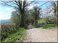 Ancient road down the valley