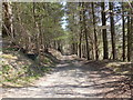 Access track to Graig-wen