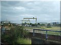 Harland & Wolff cranes, Belfast