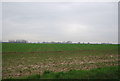 Farmland, Greenlands Farm