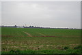 Farmland, Finchley Farm